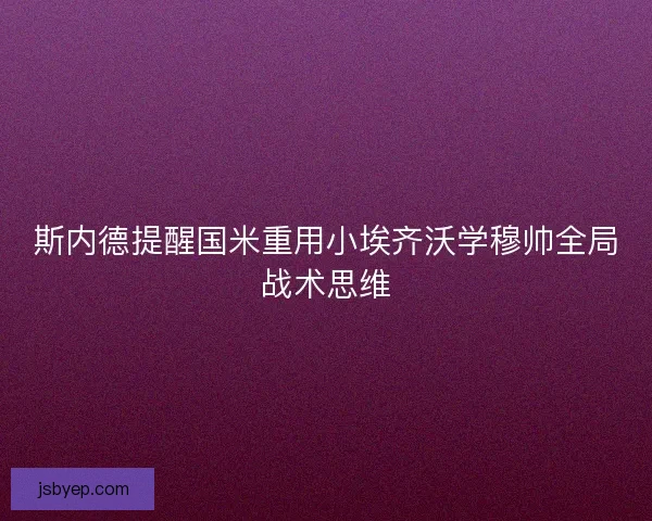 斯内德提醒国米重用小埃齐沃学穆帅全局战术思维